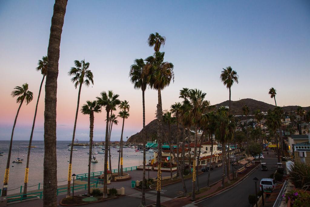 Bellanca Hotel Avalon Dış mekan fotoğraf